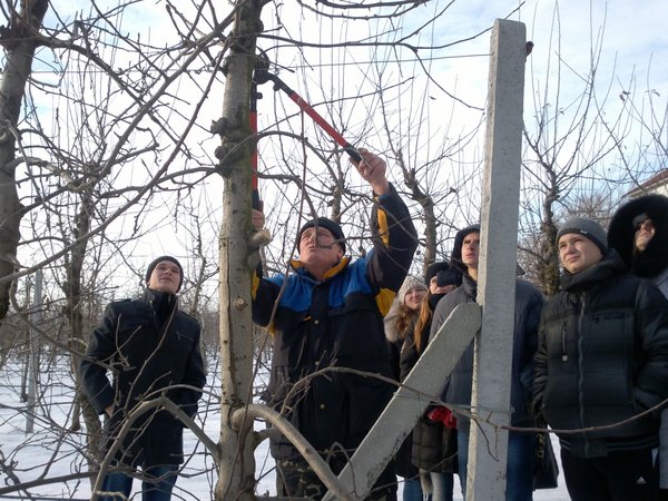 Майстер-клас з обрізування дерева від Миколи Олійника
