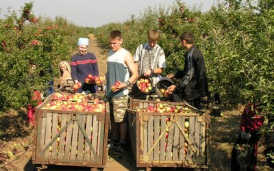 Horticulture and Viticulture