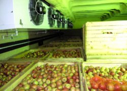 Horticulture and Viticulture