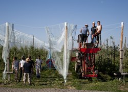 Horticulture and Viticulture