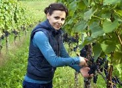 Садівництво, плодоовочівництво та виноградарство