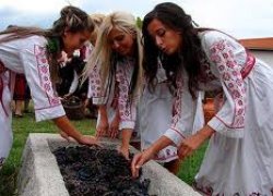 Садівництво, плодоовочівництво та виноградарство