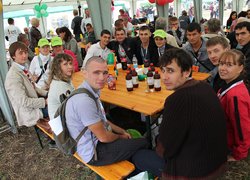 Перспективи працевлаштування: асоціація Apollo провела традиційну біржу контактів
