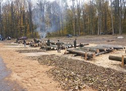 Змагання з електронного обліку лісу