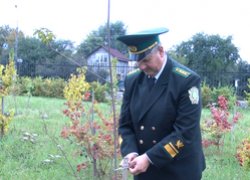 Професійне свято працівників лісового господарства