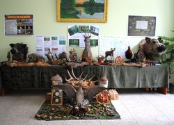 Професійне свято працівників лісового господарства