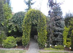 Відвідини сучасних польських садівничих господарств