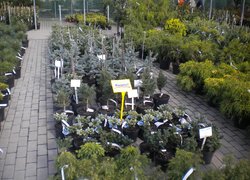Відвідини сучасних польських садівничих господарств