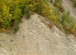 «Скала» - фрагмент флішового горотворення, характерного для Карпат