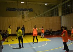 Новини спорту (волейбол)