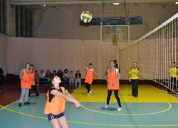 Новини спорту (волейбол)
