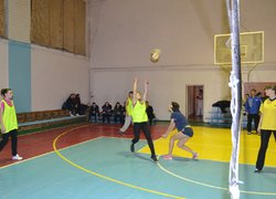 Новини спорту (волейбол)