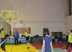Новини спорту (волейбол)