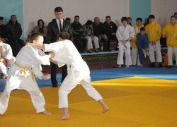 Тайфун на татамі