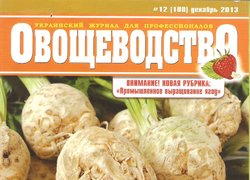 Про нас пишуть