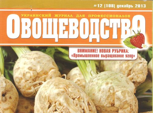 Про нас пишуть