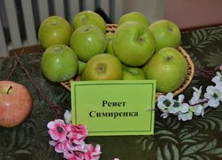 День яблук в Уманському НУС
