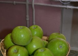День яблук в Уманському НУС