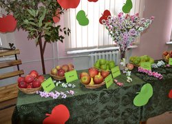 День яблук в Уманському НУС