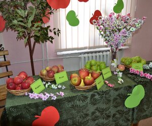 День яблук в Уманському НУС