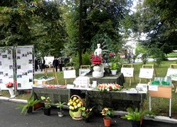 Виставка кафедри садово-паркового господарства