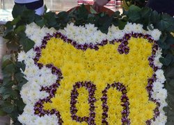 Участь кафедри в суспільно-громадському житті