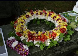 Участь кафедри в суспільно-громадському житті