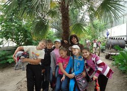 Загін ,,Смайл,,