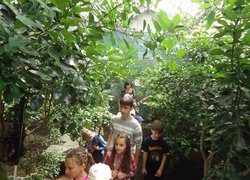 Excursion to Greenhouse Complex at Department of Horticulture