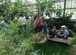 Excursion to Greenhouse Complex at Department of Horticulture