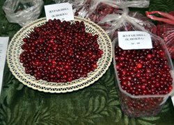 Вітаємо з Днем працівника харчової промисловості!