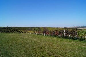 Університет імені Менделя в Брно. Лєдніце