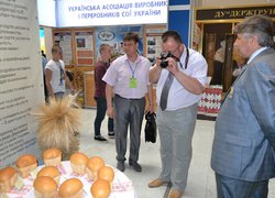 Знайомство з виставковими експозиціями