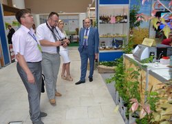 Знайомство з виставковими експозиціями