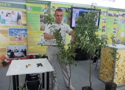 Викладачі кафедри плодівництва і виноградарства Петро Головатий та Роман Буцик проводять майстер-клас із вирощування та догляду саджанців яблуні