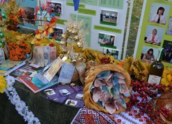 Наукову міць, навчальні досягнення та історичні традиції найстарішого ВНЗ держави із 170- річною історією – Уманського НУС – гідно представлено на Дні міста