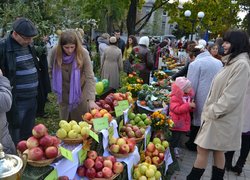 Наукову міць, навчальні досягнення та історичні традиції найстарішого ВНЗ держави із 170- річною історією – Уманського НУС – гідно представлено на Дні міста