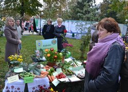 Наукову міць, навчальні досягнення та історичні традиції найстарішого ВНЗ держави із 170- річною історією – Уманського НУС – гідно представлено на Дні міста