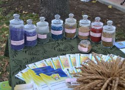 Наукову міць, навчальні досягнення та історичні традиції найстарішого ВНЗ держави із 170- річною історією – Уманського НУС – гідно представлено на Дні міста