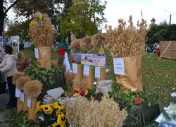 Наукову міць, навчальні досягнення та історичні традиції найстарішого ВНЗ держави із 170- річною історією – Уманського НУС – гідно представлено на Дні міста