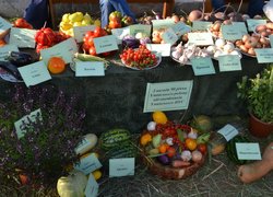 Делегація Уманського НУС стала учасником урочистих заходів з нагоди святкування 90-річчя Уманського району