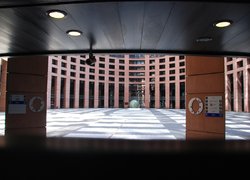 Студент  Уманського НУС на Асамблеї Європейських регіонів