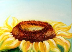 Flower Magic of Inna Kalievska