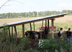 Візит французької делегації міста По до Умані