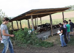 Ознайомлення з СФГ Бобик