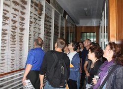 Французька делегація в університеті