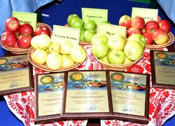 Уманський НУС - учасник Інвестиційного форуму 2013