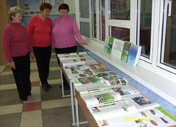No-till – як шлях підвищення ефективності сільськогосподарського виробництва та збереження родючості землі