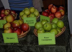 The Open Day in Uman NUH