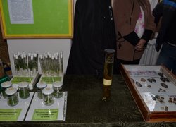 The Open Day in Uman NUH